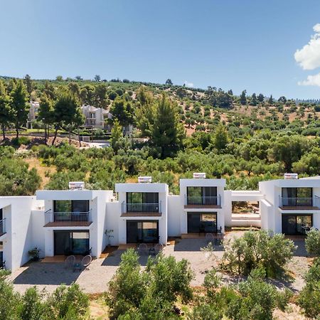 Olea Villas By Halu!, Cozy Villa In Nikiti Лагомандра Экстерьер фото