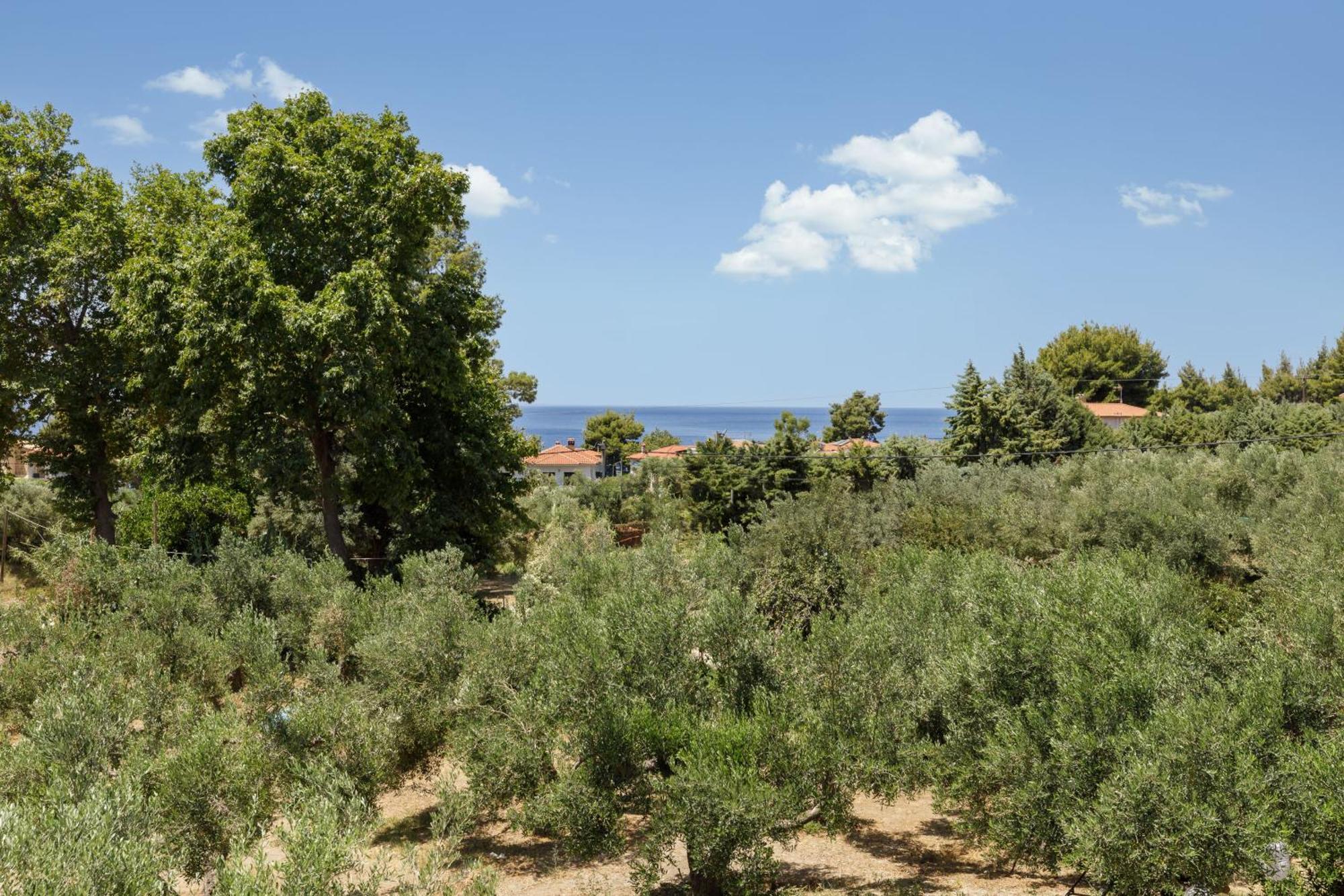 Olea Villas By Halu!, Cozy Villa In Nikiti Лагомандра Экстерьер фото