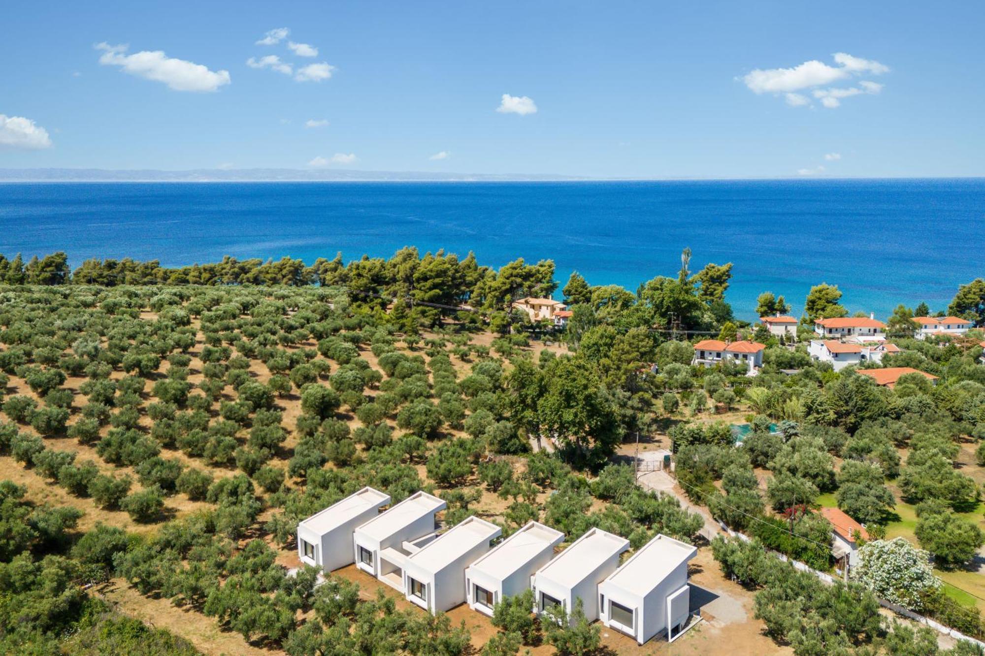 Olea Villas By Halu!, Cozy Villa In Nikiti Лагомандра Экстерьер фото