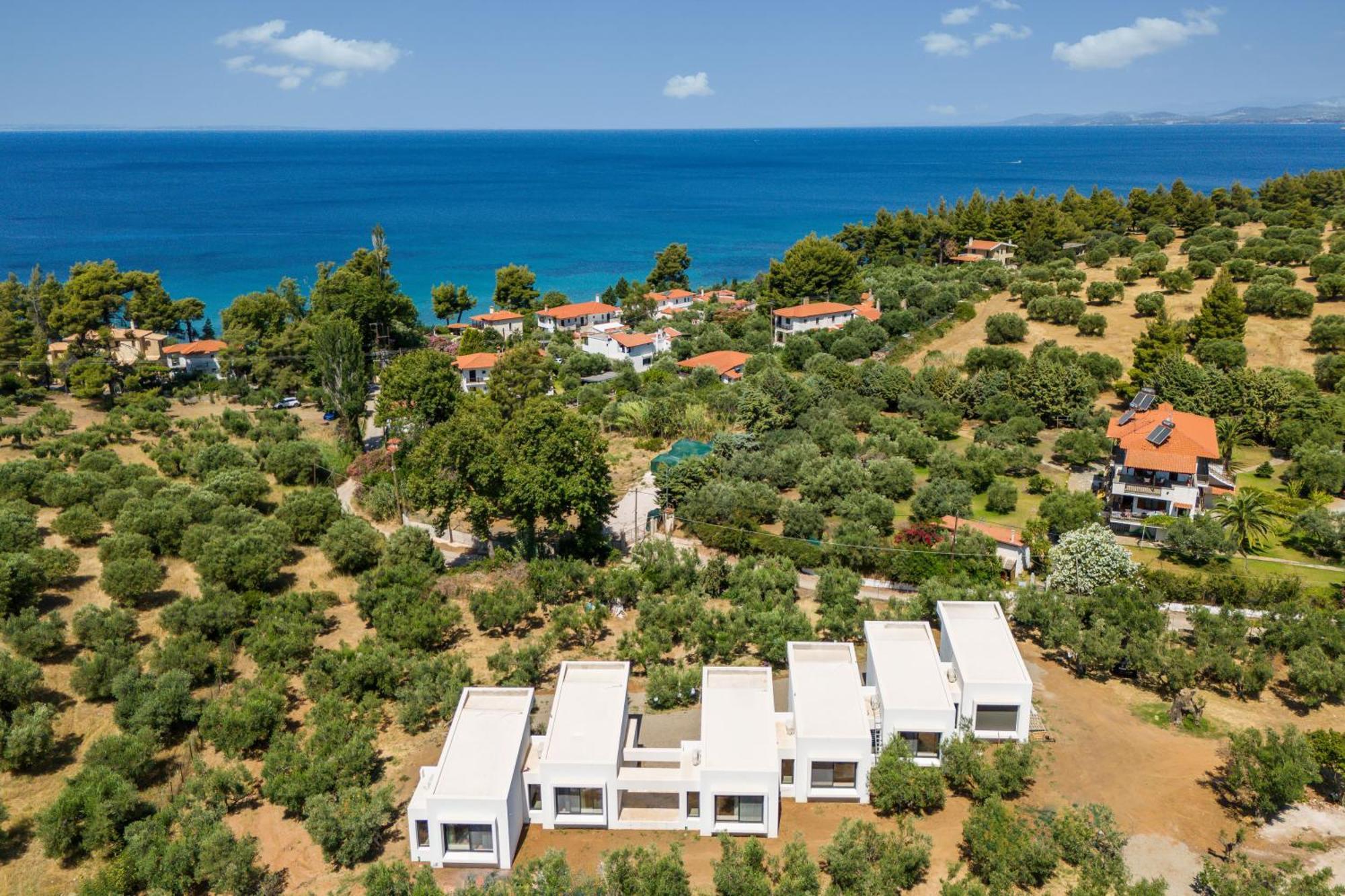 Olea Villas By Halu!, Cozy Villa In Nikiti Лагомандра Экстерьер фото