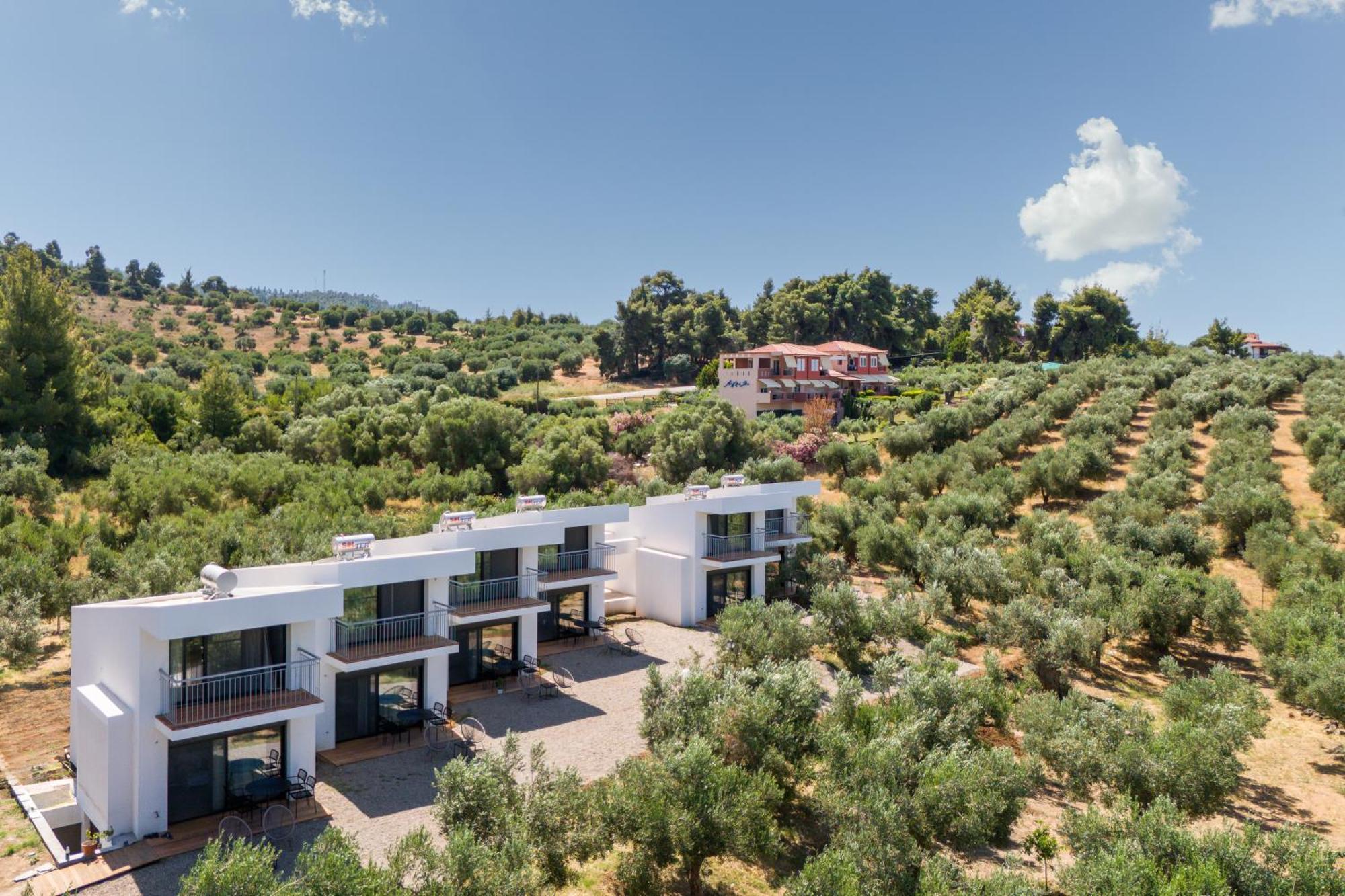 Olea Villas By Halu!, Cozy Villa In Nikiti Лагомандра Экстерьер фото