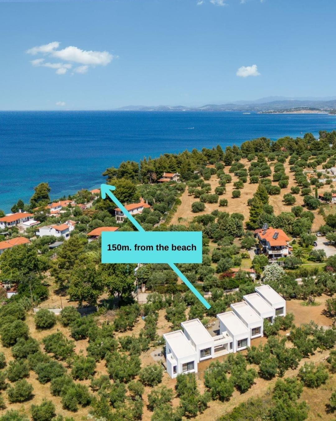 Olea Villas By Halu!, Cozy Villa In Nikiti Лагомандра Экстерьер фото